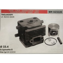 CILINDRO COMPLETO DI PISTONE E SEGMENTI BRUMAR  ASIA  CINA  GOOD LUCK  LEA  SANDRIGARDEN  SWM  MTD TAGLIASIEPI LE 3625460DR
