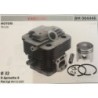 CILINDRO COMPLETO DI PISTONE E SEGMENTI BRUMAR  KAWASAKI MOTORI TH 23    Ø 32 DSpinotto 8 Pist Cpl BM 011693