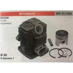 CILINDRO COMPLETO DI PISTONE E SEGMENTI BRUMAR  MITSUBISHI MOTORI TL 201 (tagliasiepi)    Ø 30 DSpinotto 7