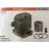 CILINDRO COMPLETO DI PISTONE E SEGMENTI BRUMAR  MITSUBISHI MOTORI TM 21    Ø 30 DSpinotto 8 Pist Cpl BM 009117