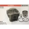 CILINDRO COMPLETO DI PISTONE E SEGMENTI BRUMAR  MITSUBISHI MOTORI TLE 48FD    Ø 42 DSpinotto 10 Pist Cpl BM 027995