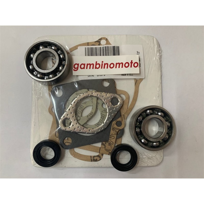 KIT REVISIONE MOTORE MINZEL RUGGERINI M100  MISURE CUSCINETTI 6204 MIRERE PARAOLI  17287