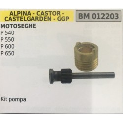 POMPA OLIO BRUMAR ALPINA  CASTOR CASTELGARDEN  GGP MOTOSEGHE P 540 P 550 P 600 P 650    Kit pompa
