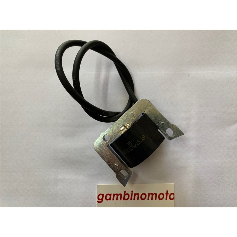 CENTRALINA ELETRONICA MOTORE CM 152 R511A1118 SELETTRA MADE IN ITALY  CONTROLLARE BENE LA FOTO CAVO MASSA VERSO SINISTRA