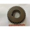 INGRANAGGIO FISSO MOTOZAPPA PASBO MODELLO  Z34Z38