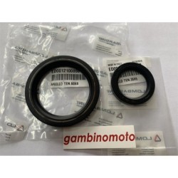 PARAOLI COPPIA ALBERO MOTORE LOMBARDINI LDA 672 832 VOLANO DISTRIBUZIONE