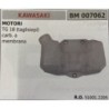 BRUMAR SERBATOIO KAWASAKI MOTORI TG 18 (taglisiepi) carb a membrana  RO 510012205