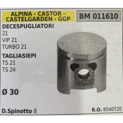BRUMAR PISTONE COMPLETO ALPINA  CASTOR  CASTELGARDEN  GGP DECESPUGLIATORI 21 VIP 21 TURBO 21 TAGLIASIEPI TS 21 TS 24  Ø 30 DSpi