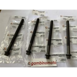 PRIGIONIERI MOTORE LOMBARDINI 15LD315  15LD350