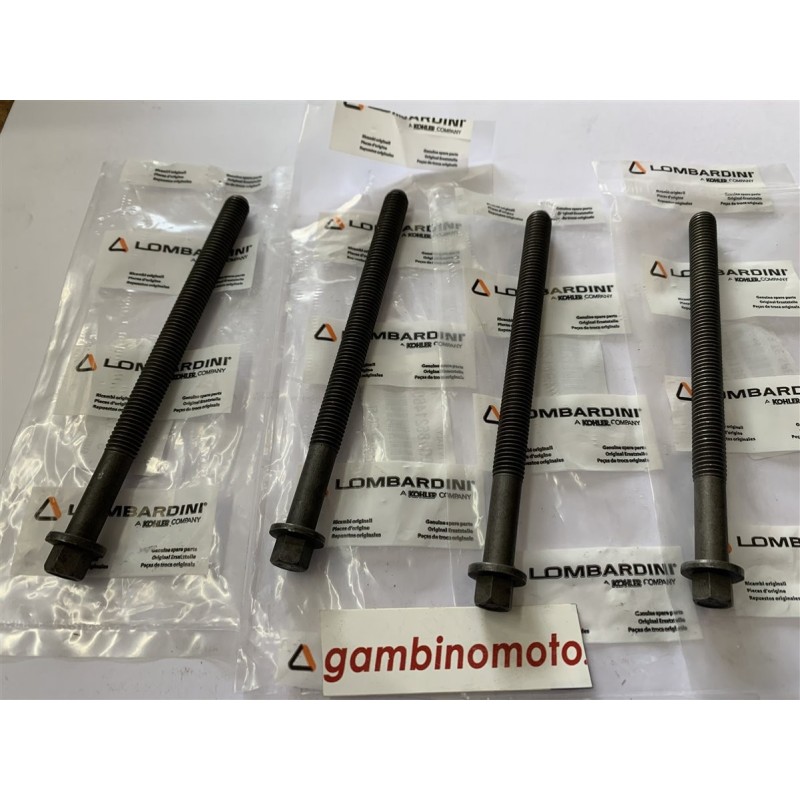 PRIGIONIERI MOTORE LOMBARDINI 15LD315  15LD350