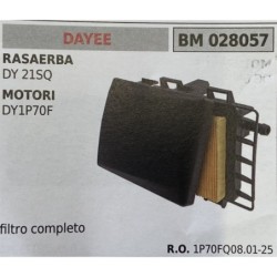 BRUMAR FILTRO DAYEE  RASAERBA DY 21SQ MOTORI DY1P70F  filtro completo RO 1P70FQ080125