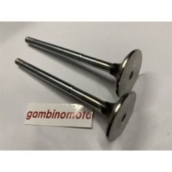 KIT VALVOLE MOTORE SAME SLH982LSLHL986 MINITAURO