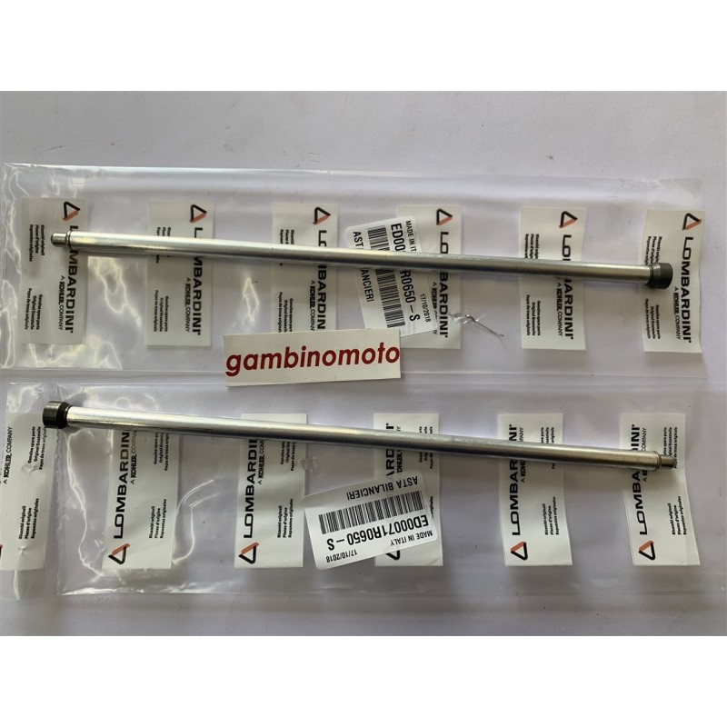 ASTE PUNTERIE MOTORE RUGGERINI RD901 MM254