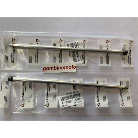 ASTE PUNTERIE MOTORE RUGGERINI RD901 MM254