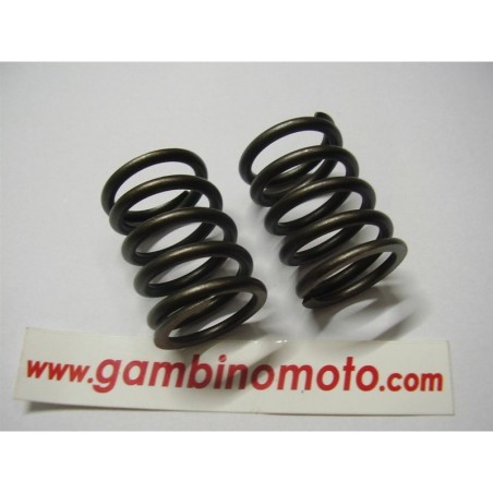 MOLLE VALVOLE MOTORE INTERMOTOR IM300IM350