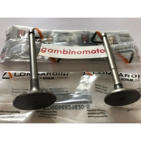 VALVOLE MOTORE LOMBARDINI INTERMOTOR LA250 SERBATOIO IN PLASTICA