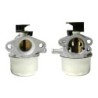 CARBURATORE MOTORE BRIGGS & STRATTON CHOCKE QUANTUM POWER 351555