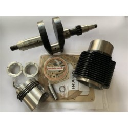 KIT COMPLETO REVISIONE MOTORE LOMBARDINI 3LD510  LDA510 VERSIONE INDUSTRIALE  Kit cilindropistone (riforig 4898002) + Albero a