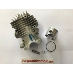 CILINDRO E PISTONE MOTOSEGA ALPINA CJ300  A305 CASTOR VARIE