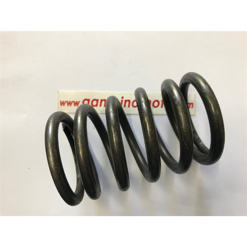 MOLLA FRIZIONE MOTOZAPPA PASBO G72 EUROGREENSICILZAPPAHURRICANE