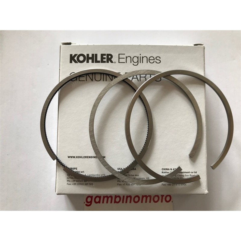 SEGMENTI MOTORE RUGGERINI MD150 STANDARD