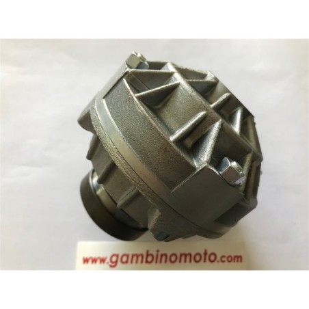 FRIZIONE MOTOZAPPA MECCANICA BENASSI RL 426 RICAMBIO ORIGINALE 6CI181PA