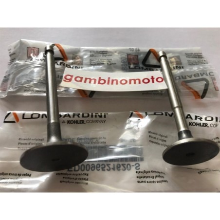 VALVOLE MOTORE LOMBARDINI INTERMOTOR IM 250251252300350351352359 MODELLO CON SERBATOIO IN FERRO