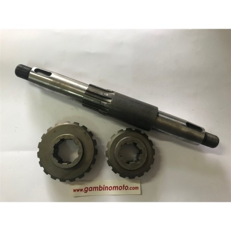 KIT ALBERO PORTA FRESA PIU COPPIA CONICA MOTOCOLTIVATORE BERTOLINI BM12  DENTI CORONA 19 DENTI CORONA 16