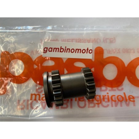 INGRNAGGIO SCORREVOLE MOTOZAPPA PASBO DIESSE PER MODELLO G72  G73 Z17  Z19