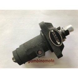 POMPA INIEZIONE MOTORE RUGGERINI MD150MD151MD190MD191 FOTO DIMOSTRATIVA