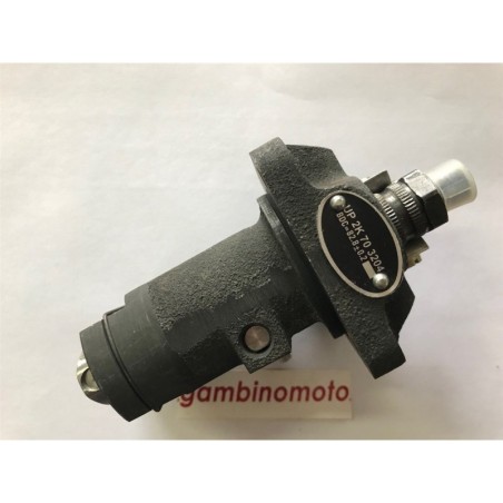 POMPA INIEZIONE MOTORE RUGGERINI MD150MD151MD190MD191 FOTO DIMOSTRATIVA