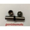 PERNO FORCELLA APE 50  APE 250  LUNGHEZZA 75 MM DM 16