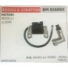 BOBINA BRUMAR ELETTRONICA BRIGGS & STRATTON MOTORI  MODELLI 122000