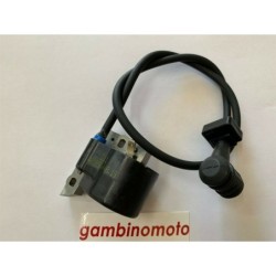 BOBINA BRUMAR ELETTRONICA CIFARELLI SOFFIATORI  ATOMIZZATORI BL 77 V 75SD M 88  007725