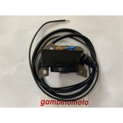 CENTRALINA ELETRONICA MOTORE JLO 152JLO101 PVL 105 417 MADE IN GERMANY