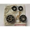 KIT REVISIONE MOTORE MINZEL RUGGERINI M150  MISURE CUSCINETTI 52x20x15 e 47x20x14  MIRERE PARAOLI  20x32x7