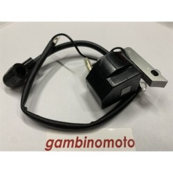 BOBINA BRUMAR ELETTRONICA PROGREEN SOFFIATORI PG 31 BL