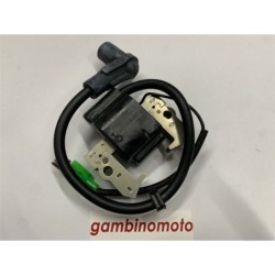 BOBINA BRUMAR ELETTRONICA ROBIN  SUBARU MOTORI EC 08 (2 tempi)