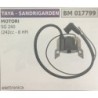 BOBINA BRUMAR ELETTRONICA TAYA  SANDRIGARDEN MOTORI SG 240 (242 cc  8 HP)