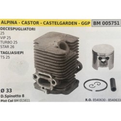 CILINDRO COMPLETO DI PISTONE E SEGMENTI BRUMAR  ALPINA  CASTOR  CASTELGARDEN  GGP DECESPUGLIATORI 25 VIP 25 TURBO 25 STAR 26 TA