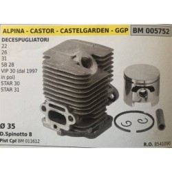 CILINDRO COMPLETO DI PISTONE E SEGMENTI BRUMAR  ALPINA  CASTOR  CASTELGARDEN  GGP DECESPUGLIATORI 22 26 31 SB 28 VIP 30 (dal 19