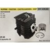 CILINDRO COMPLETO DI PISTONE E SEGMENTI BRUMAR  ALPINA  CASTOR  CASTELGARDEN  GGP MOTOSEGHE XC 44 XC 430 XC 470    Ø 44 DSpinot