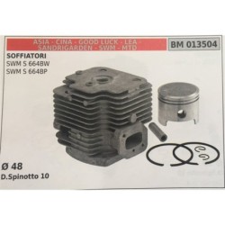 CILINDRO COMPLETO DI PISTONE E SEGMENTI BRUMAR  ASIA  CINA  GOOD LUCK  LEA  SANDRIGARDEN  SWM  MTD SOFFIATORI SWM S 664BW SWM S