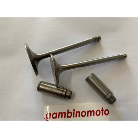 VALVOLE + GUIDE MOTORE RUGGERINI RD85RD850RD901A RICAMBIO ORIGINALE
