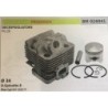 CILINDRO COMPLETO DI PISTONE E SEGMENTI BRUMAR  PROGREEN DECESPUGLIATORE PG 26    Ø 34 DSpinotto 8 Pist Cpl BM 038275