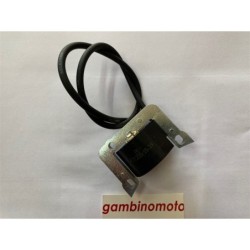 CENTRALINA ELETRONICA MOTORE CM 152 R511A1118 SELETTRA MADE IN ITALY  CONTROLLARE BENE LA FOTO CAVO MASSA VERSO SINISTRA