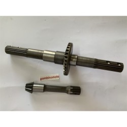 COPPIA CONICA FRESA MOTOCOLTIVATORE GOLDONI M22 DENTI PIGNONE 10 DENTI CORONA 29