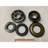 KIT REVISIONE ALBERO MOTORE COMPLETO DI PARAOLI PER PIAGGIO APE MP 601