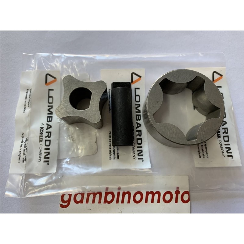 POMPA OLIO MOTORE RUGGERINI RD200RD240RD270RD210RD180RD922RD952RD220RD9012