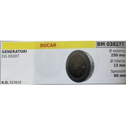 BRUMAR RUOTE VARIE DUCAR  GENERATORI DG 6500T  Ø esterno 250 mm Ø interno 13 mm spessore 60 mm  RO 523618